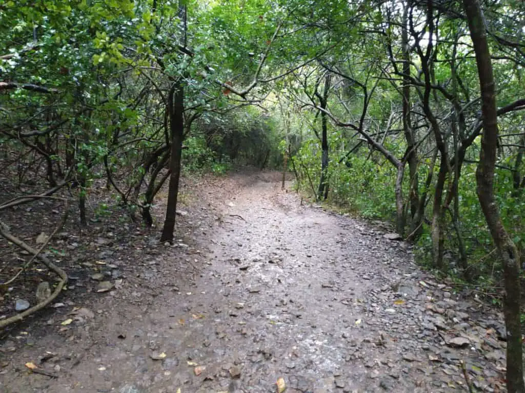 Hiking-Trail-5-Margalla-Hills-Islamabad