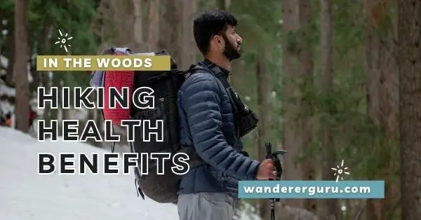 Health Benefits Of Hiking In The Woods
