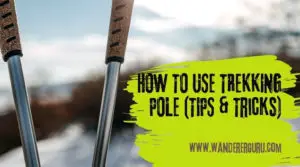 HOW TO USE TREKKING POLE TIPS