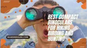 best compact binoculars for hiking and birding by wandererguru
