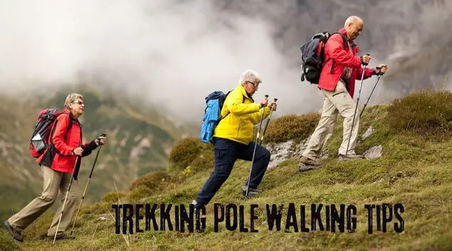 trekking pole walking tips