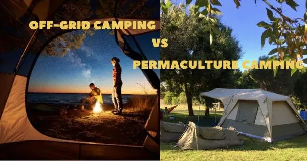 off grid camping vs permaculture camping