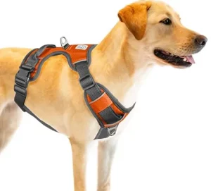 Embark-Adventure-Dog-Harness