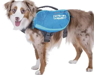 Outward-Hound-DayPak-Dog-Backpack