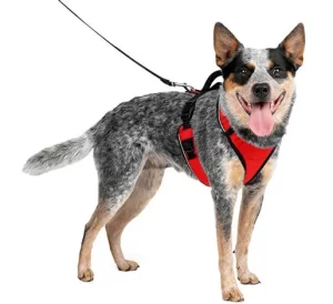 PetSafe-EasySport-Dog-Harness