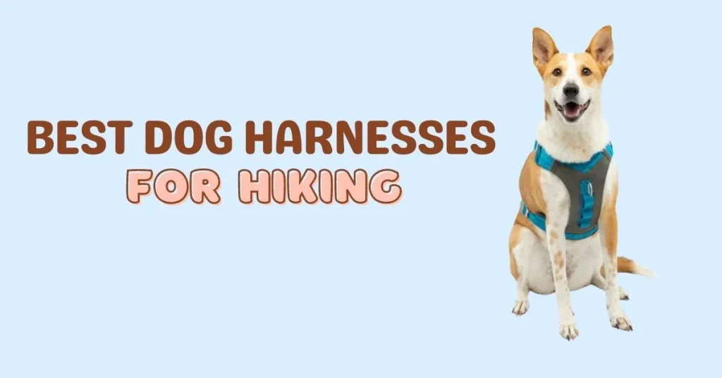 best-dog-harnesses-for-hiking