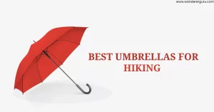 best-umbrellas-for-hiking
