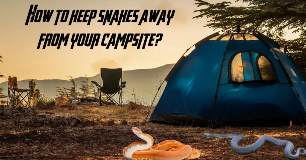 How to keep snakes away from your campsite