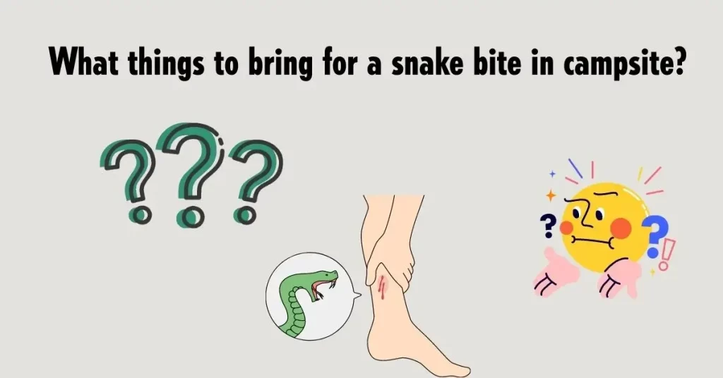 What-things-to-bring-for-a-snake-bite-in-campsite