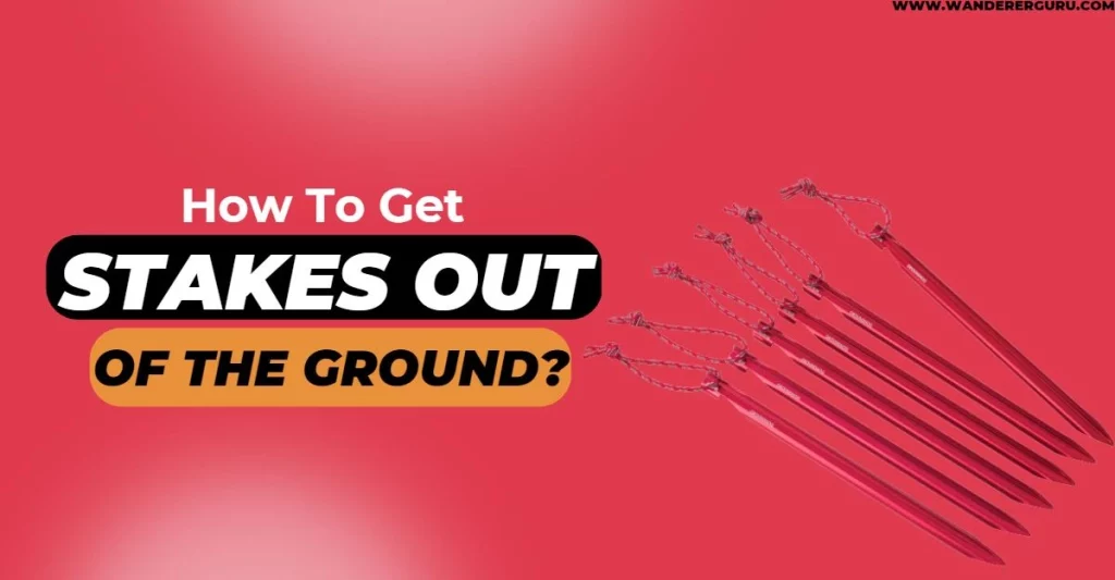 how-to-get-snakes-out-of-the-ground