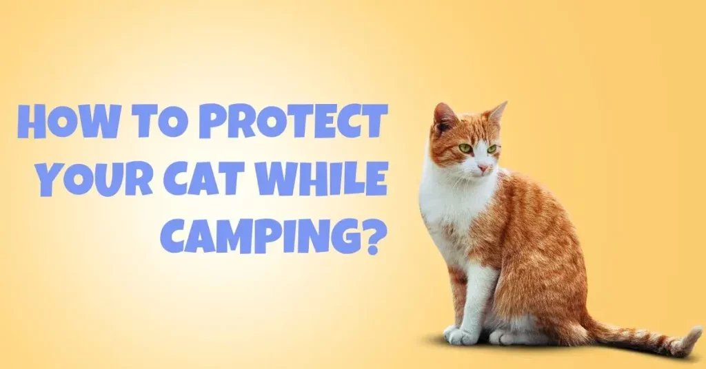 How-to-protect-your-cat-while-camping