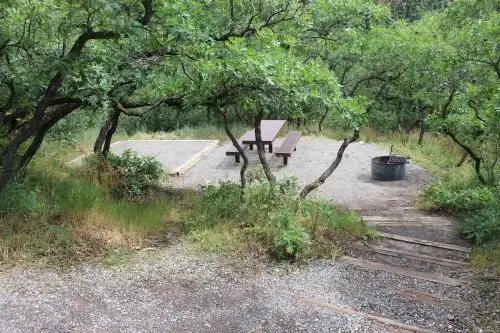 Amphitheater Campground