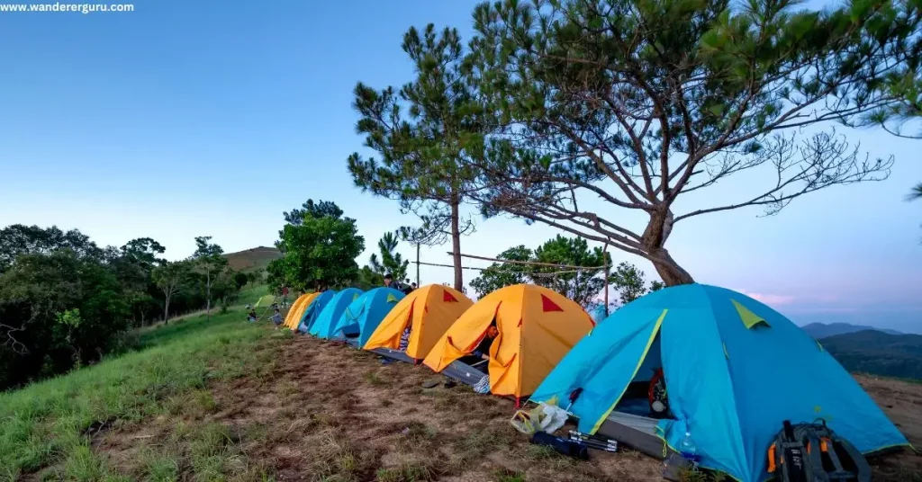 camping in buena vista colorado