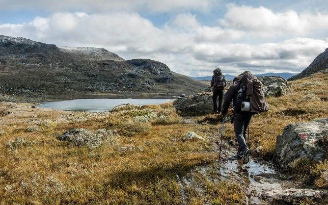 best hiking gear buying guides